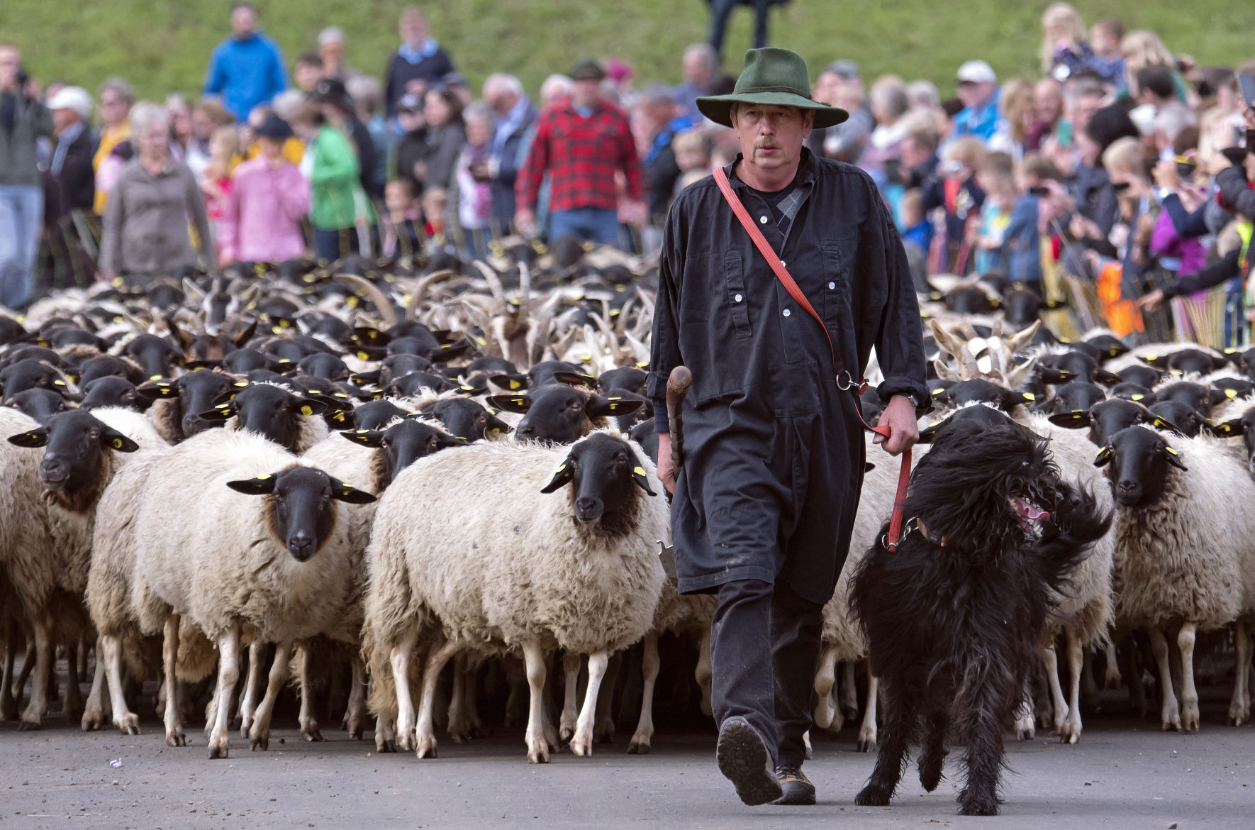 APTOPIX Germany Cattle Drives Celebrations